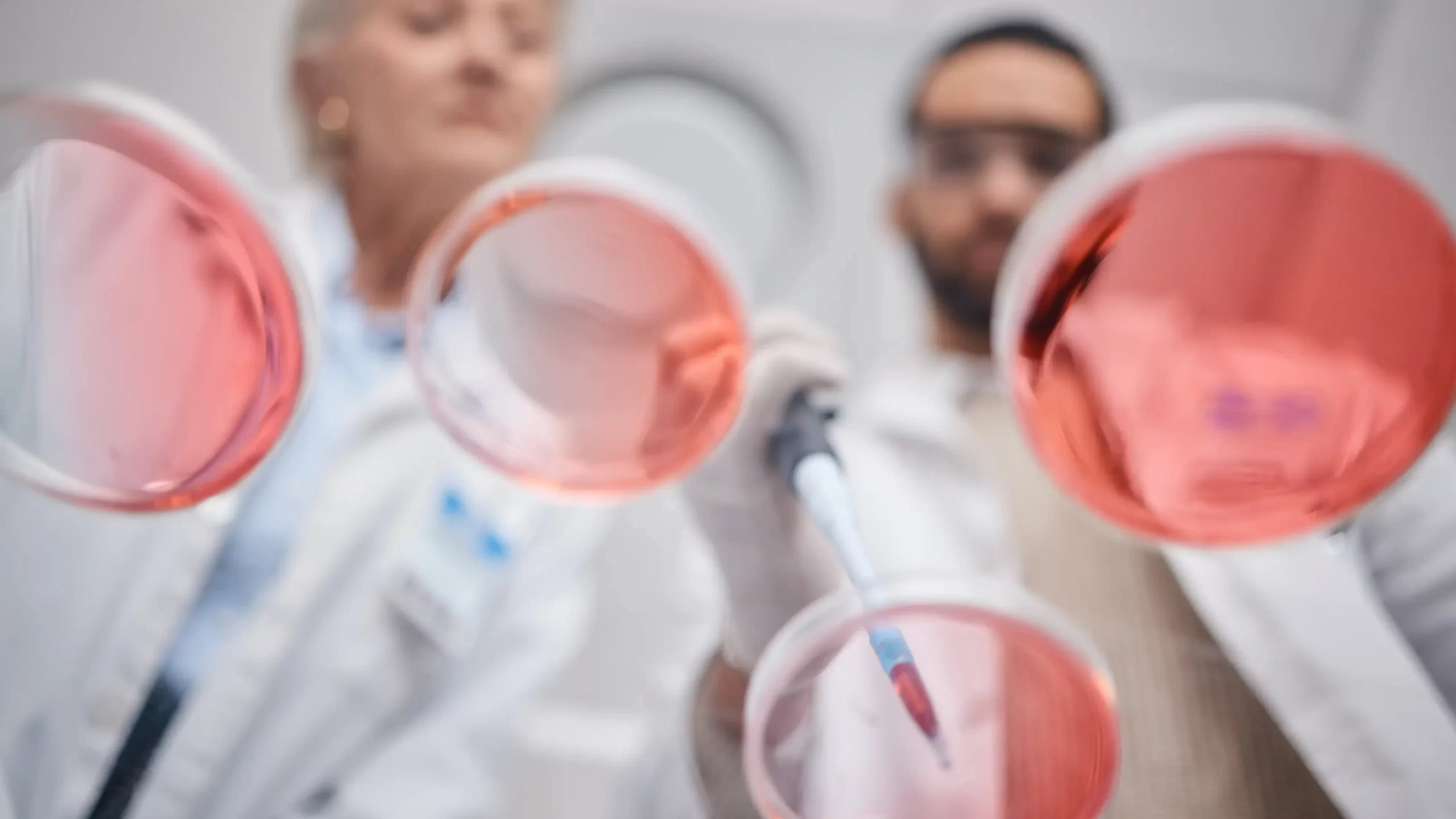 kok-hucre-nedir-ve-nasil-calisir