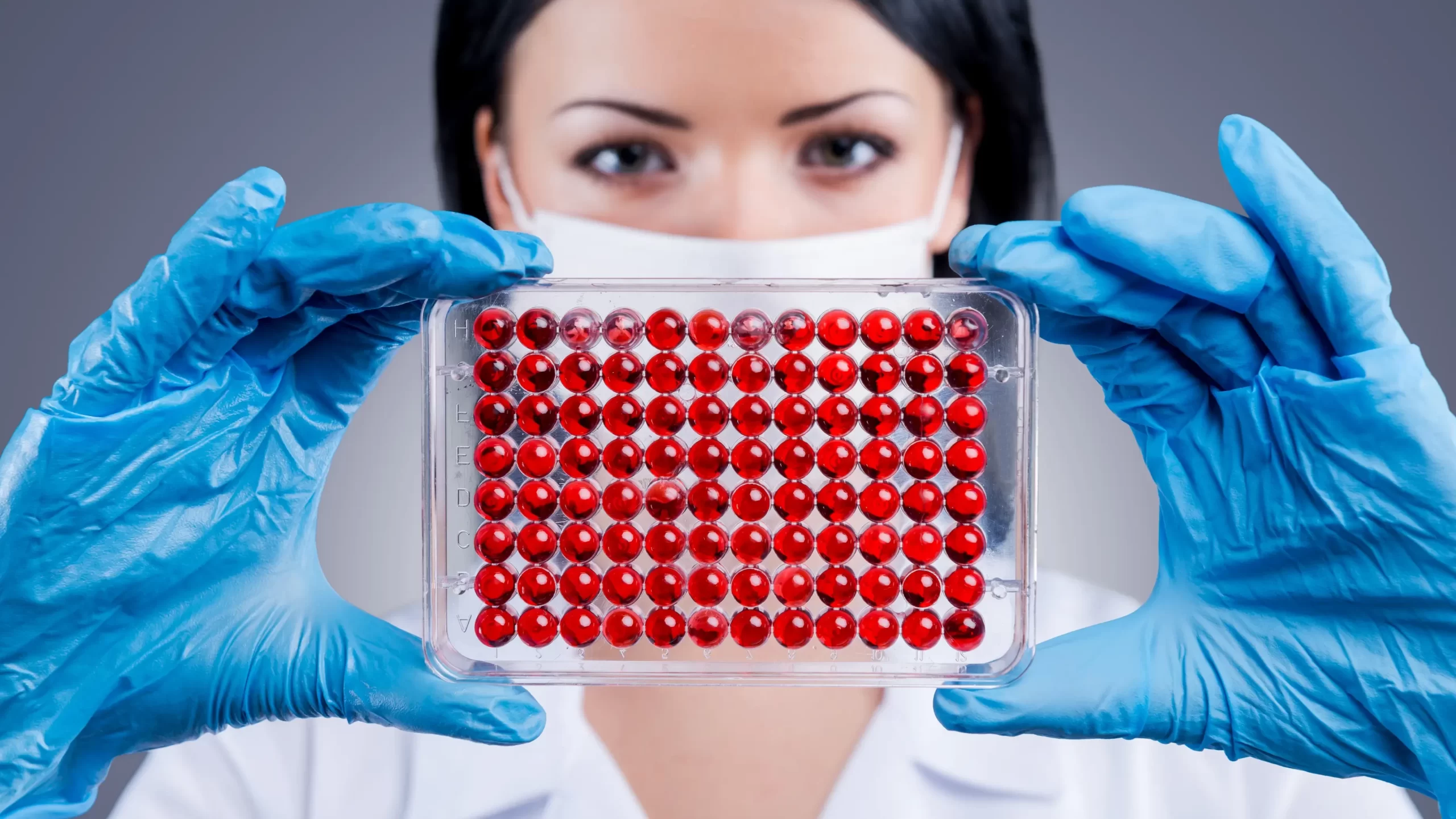 kok-hucrelerin-yenileyici-gucu-ve-tedavi-potansiyeli